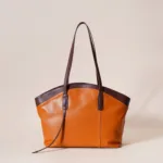 Clear PVC Tote: Transparent Design with Colorful Lining - Image 3